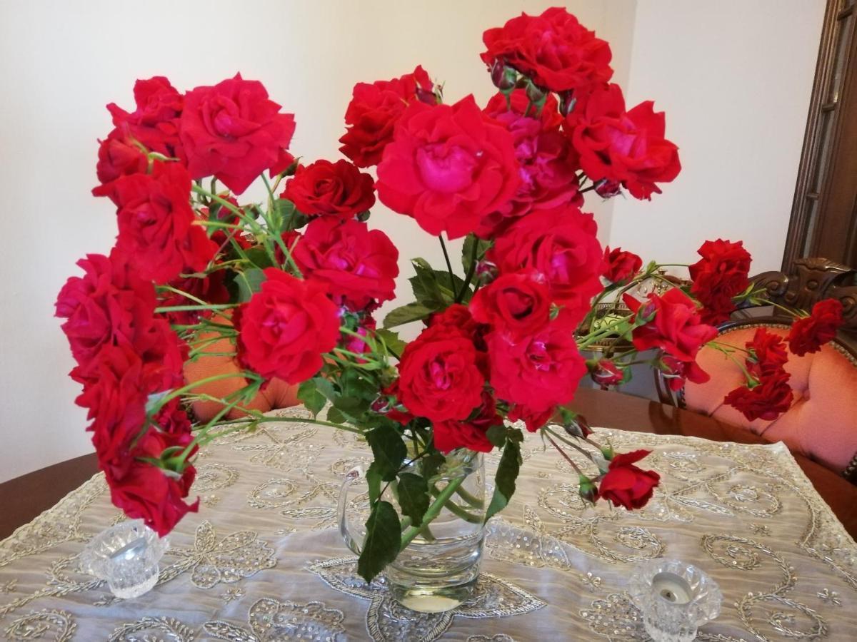 Apartament Rosen Und Rosse Zweibrücken Zewnętrze zdjęcie